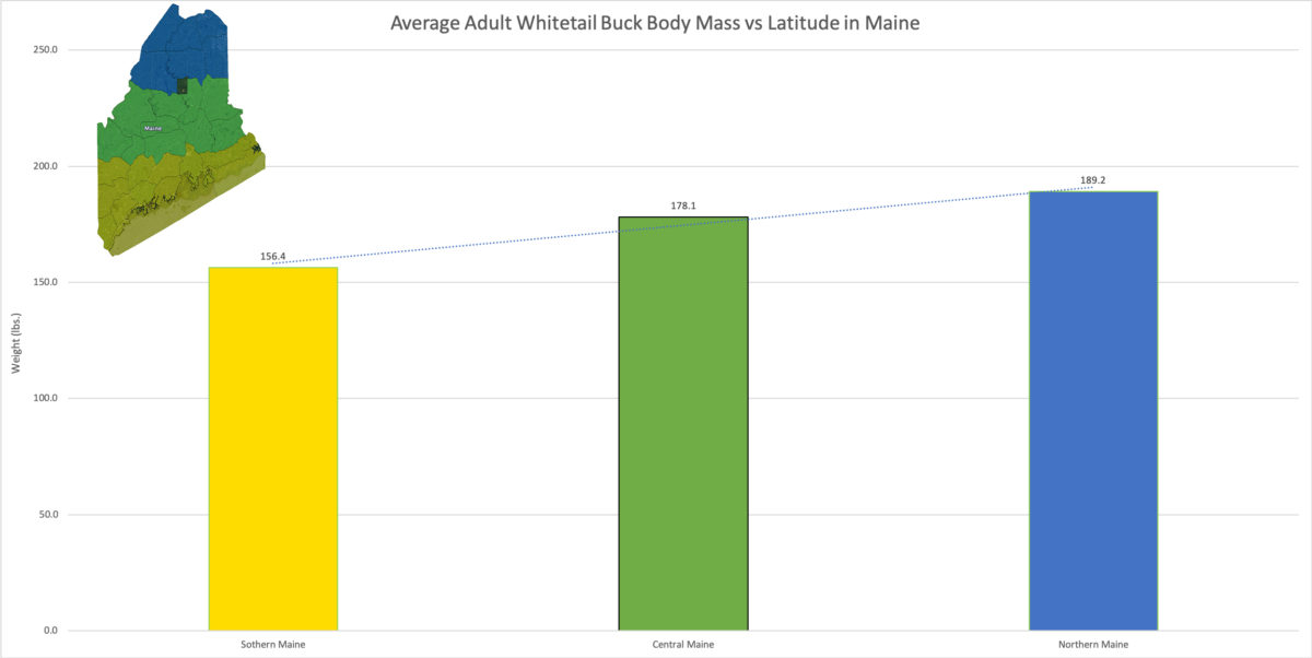 Average-Whitetail-Buck-Weight-vs-Latitude-Maine