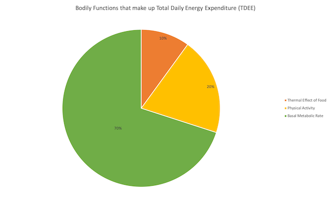 "Total-Daily-Energy-Expenditure-<yoastmark