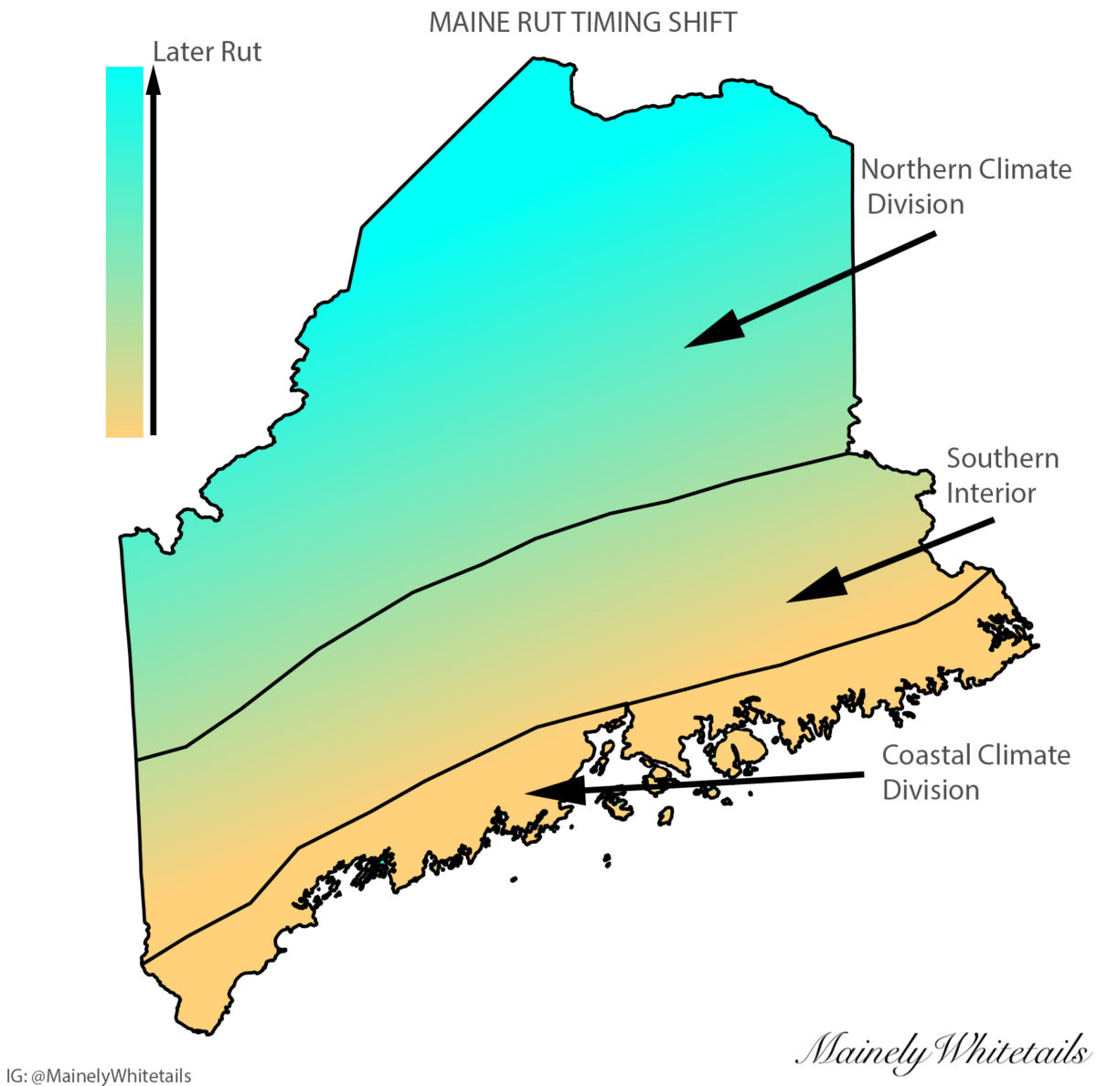 When is the Whitetail Rut in Maine? Detailed Explanation and Rut Dates