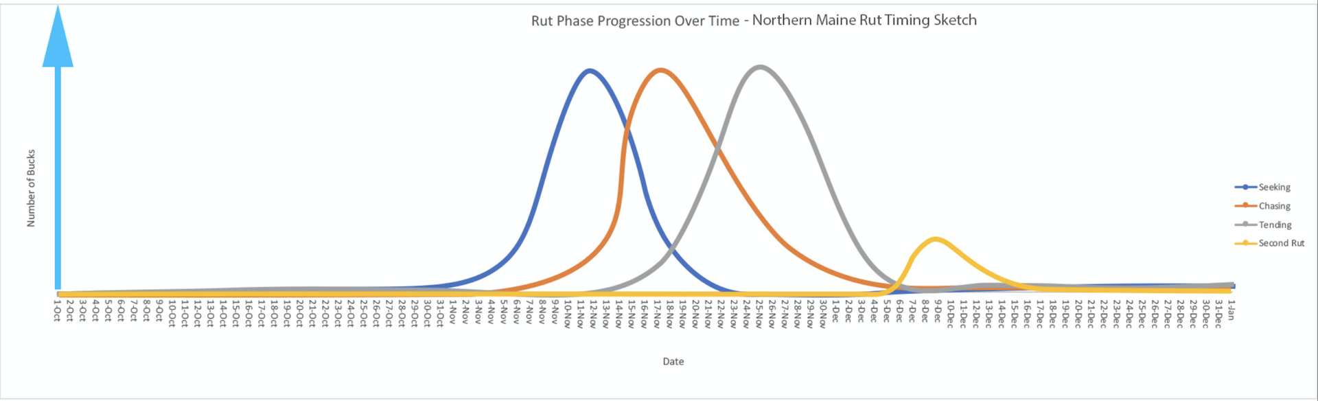 When is the Whitetail Rut in Maine? Detailed Explanation and Rut Dates