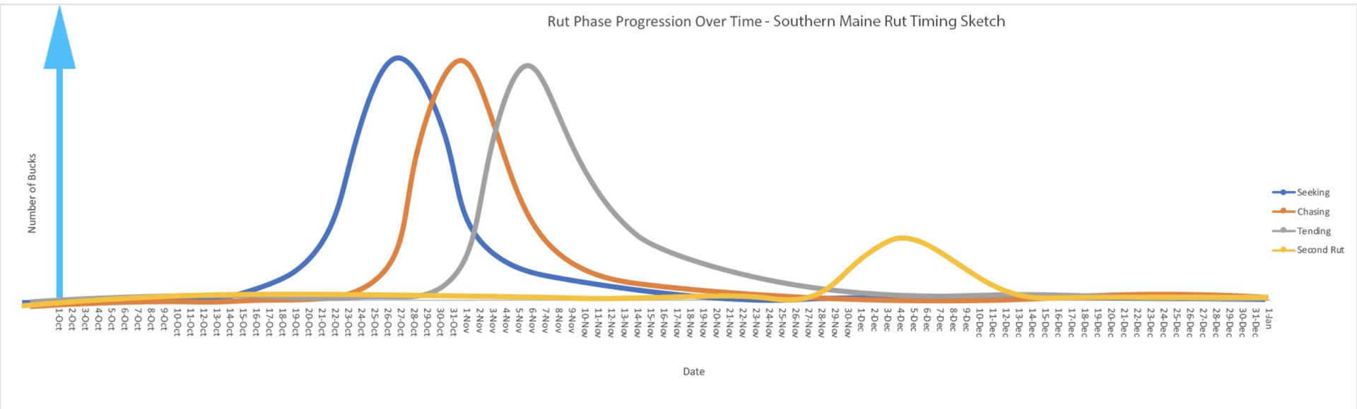 When Is The Whitetail Rut In Maine? Detailed Explanation And Rut Dates