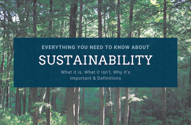 what is sustainability and why its important