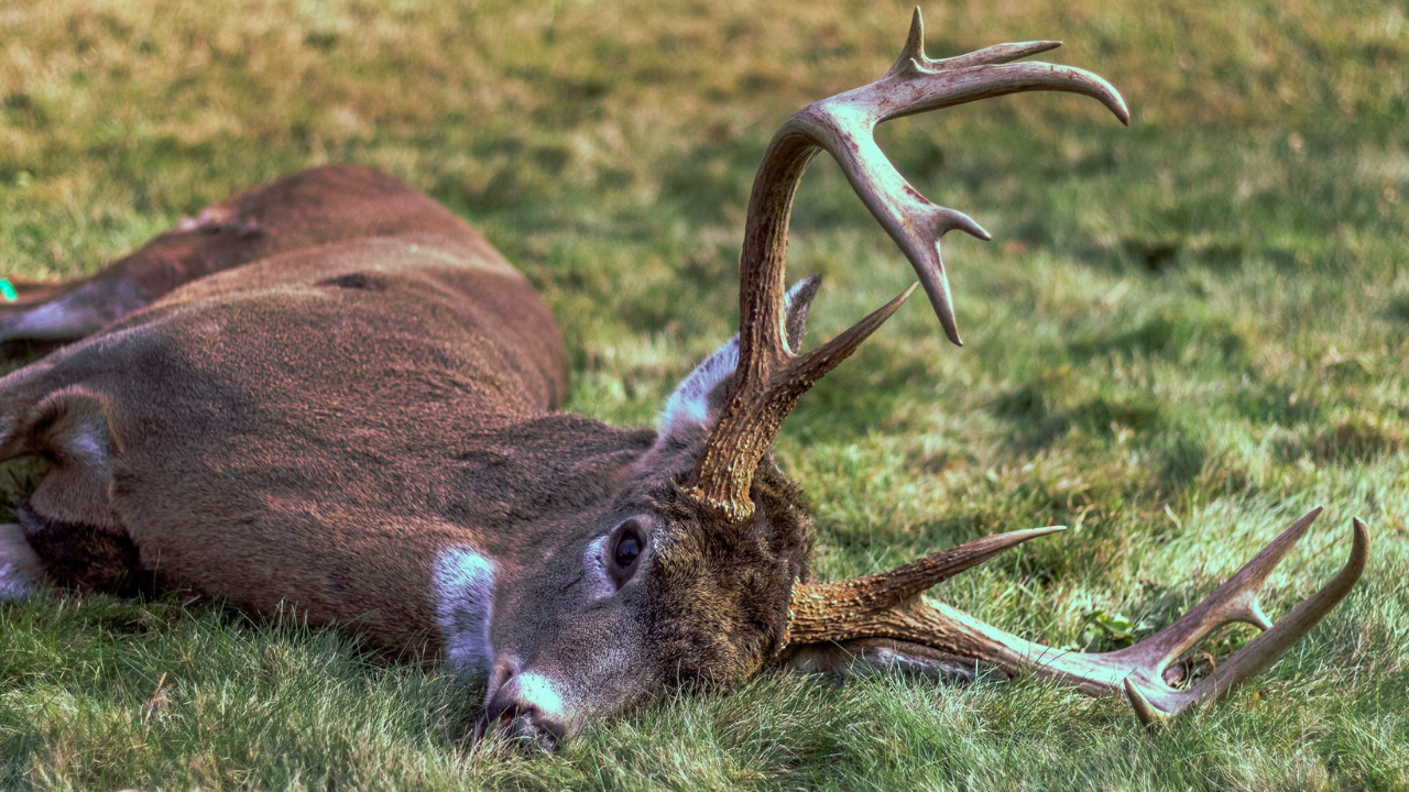 Best Gifts For Deer Hunters | Best Deer Hunting Gifts
