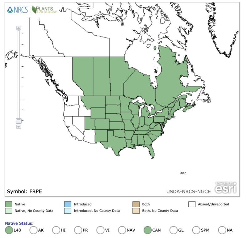 Green Ash Tree (Fraxinus pennsylvanica) Distribution Range Map