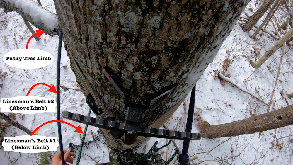 Tree Saddle Hunting | Climbing With Multiple Linesman's Belts