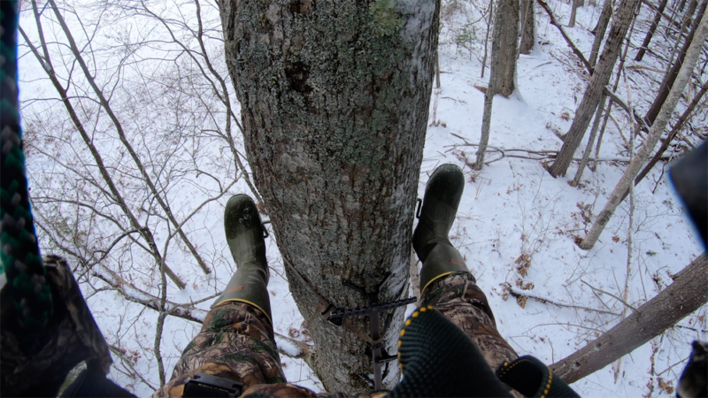 Tree Saddle Hunting Climbing Methods and Platforms