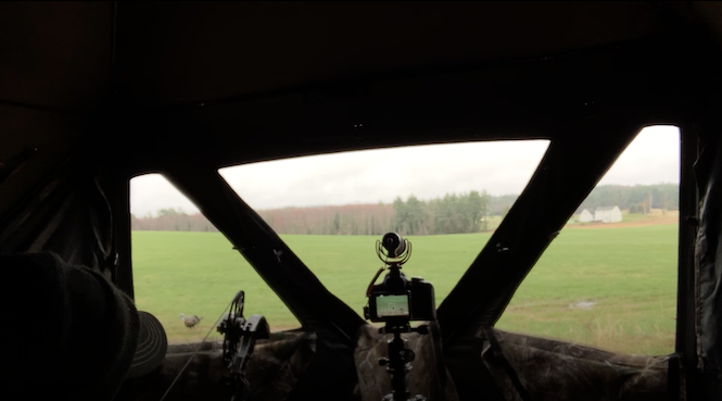 Blinds Are Effective Pieces Of Turkey Hunting Gear