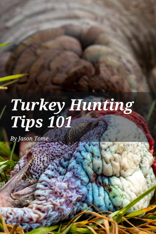 Turkey Hunting Tips For Beginners | 101 Tips