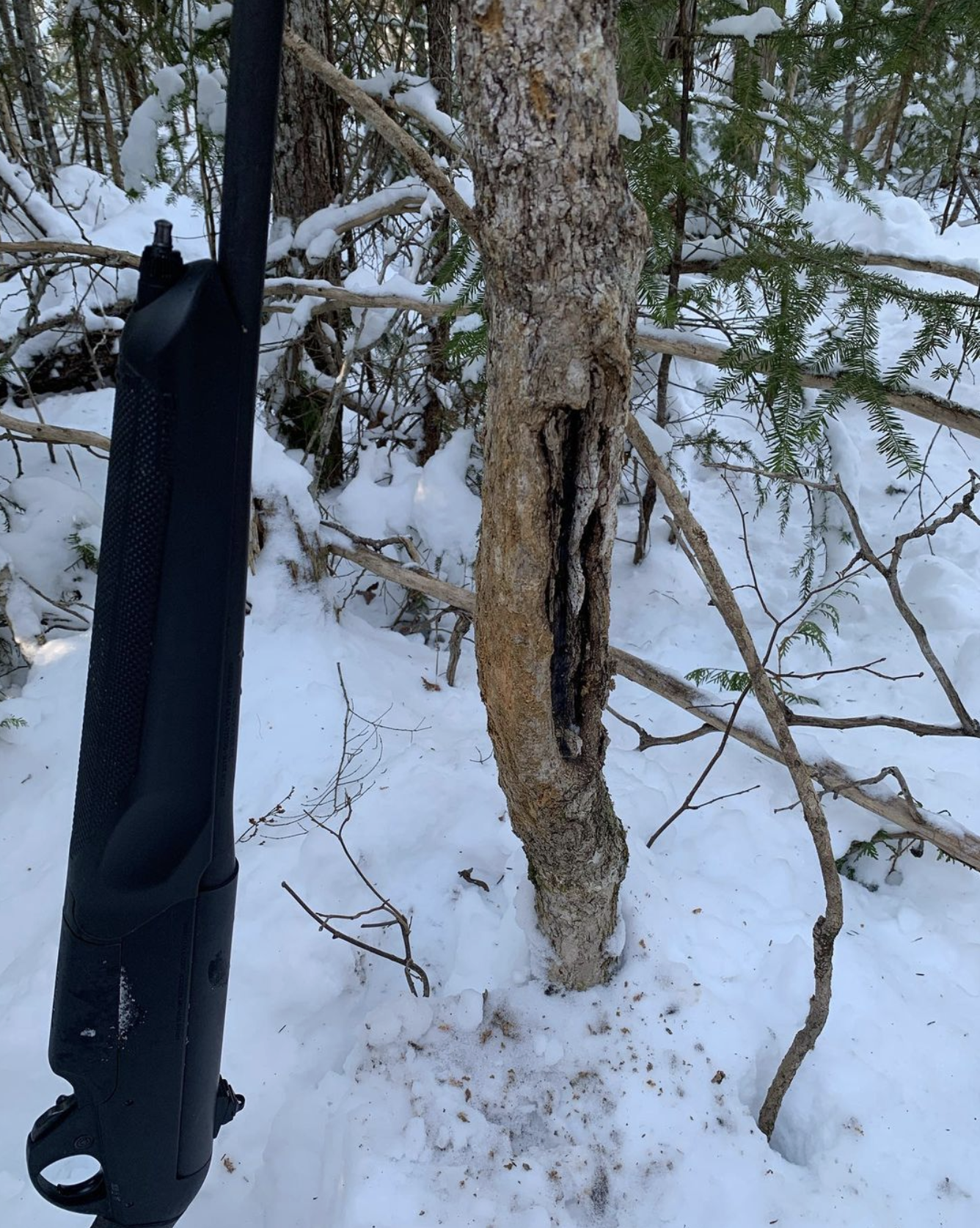 A Signpost Rub That A Buck Brought Me to While Tracking Him In Snow