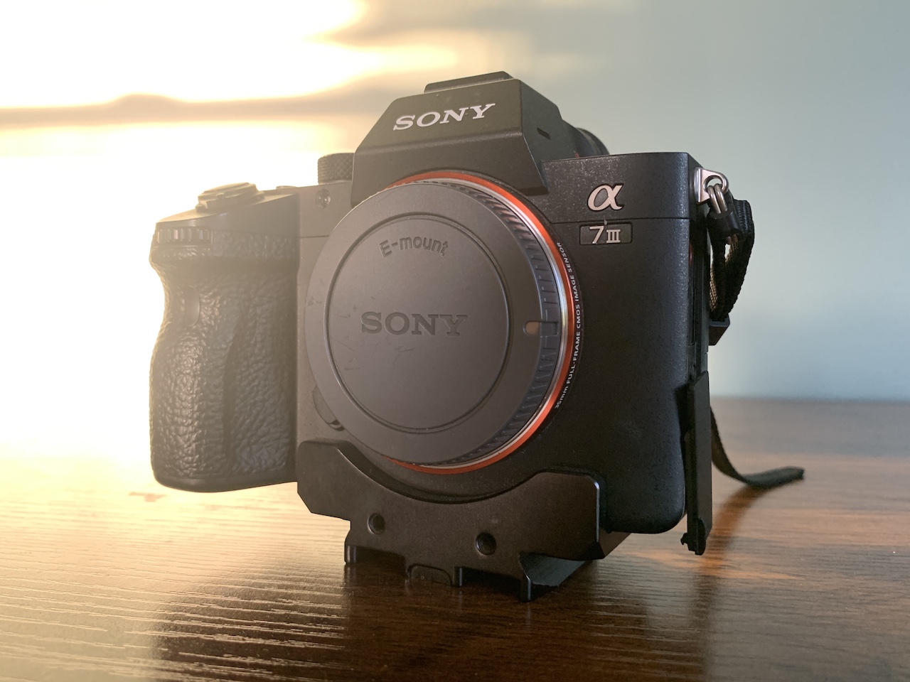 Sony A7iii Mirrorless Video Camera For Hunting
