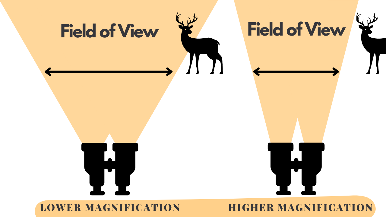 How To Choose Binoculars | Binocular Field of View Explained