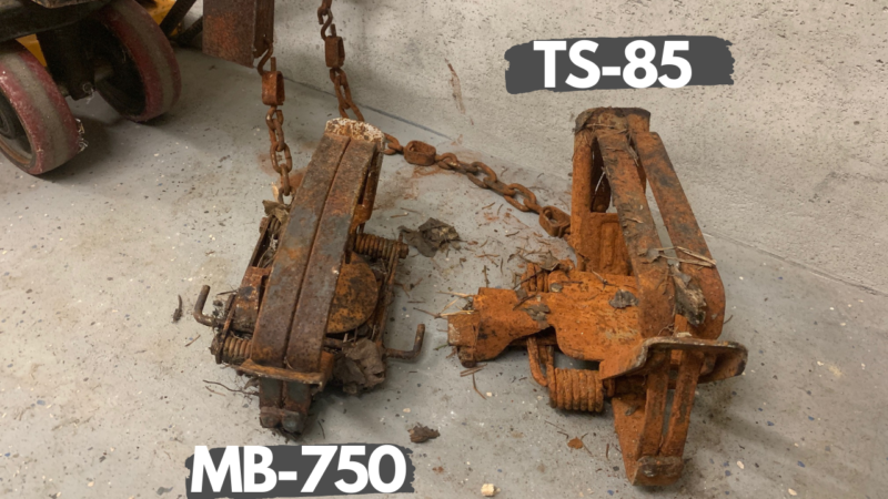 MB-750 and TS-85 Beaver Foothold Traps