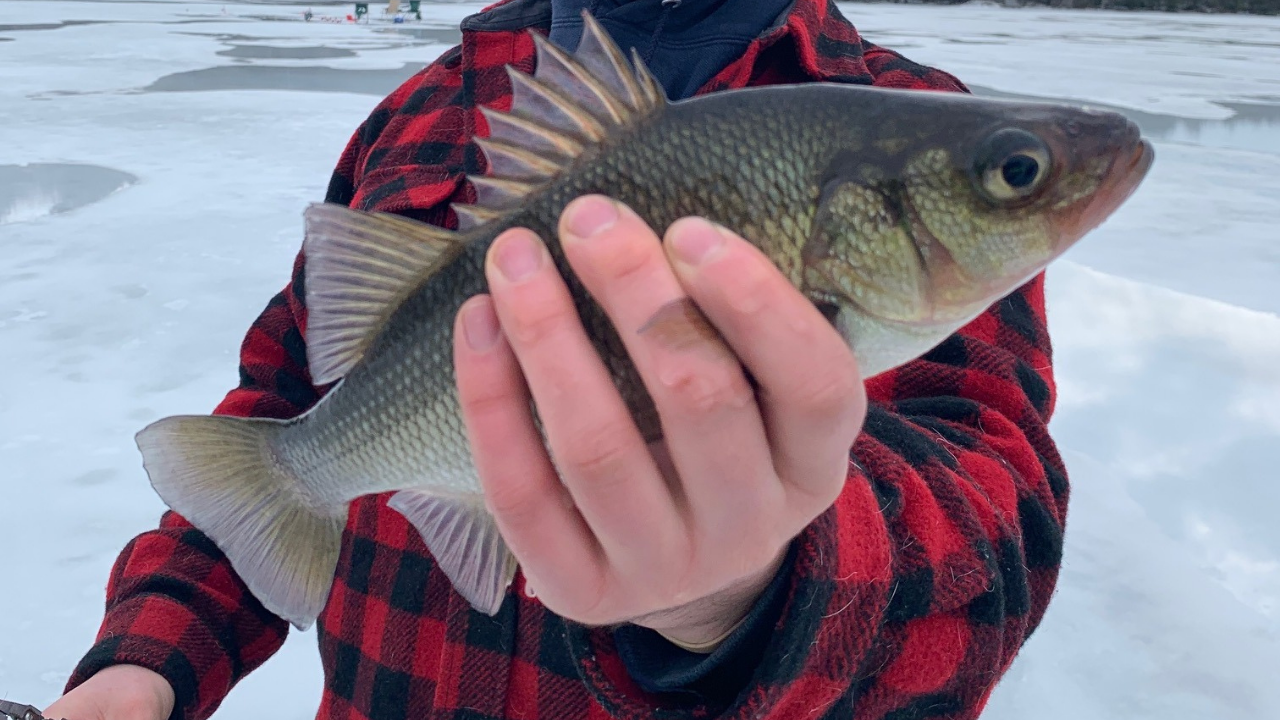 How To Ice Fish For Beginners
