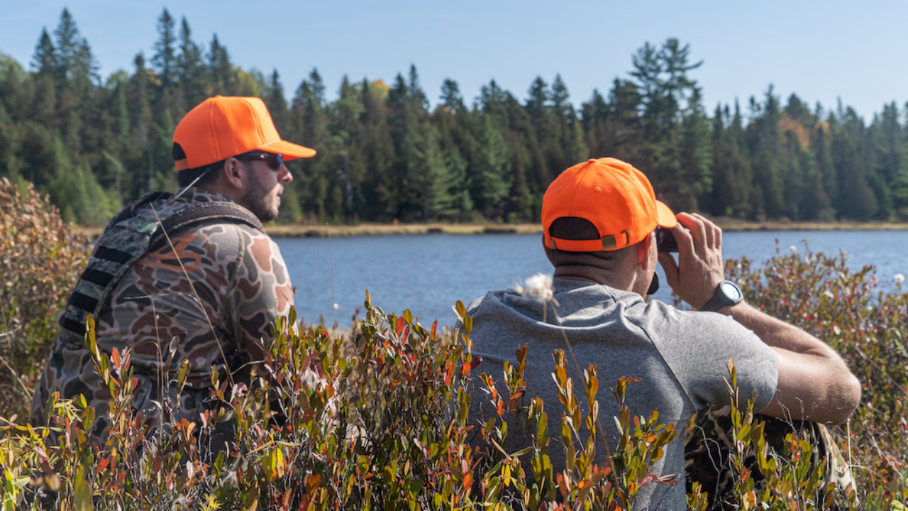 Best Gear For Moose Watching In Maine - Glassing For Maine Moose