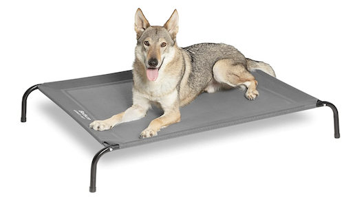 Elevated Dog Bed Camping Gift For Dog Lovers