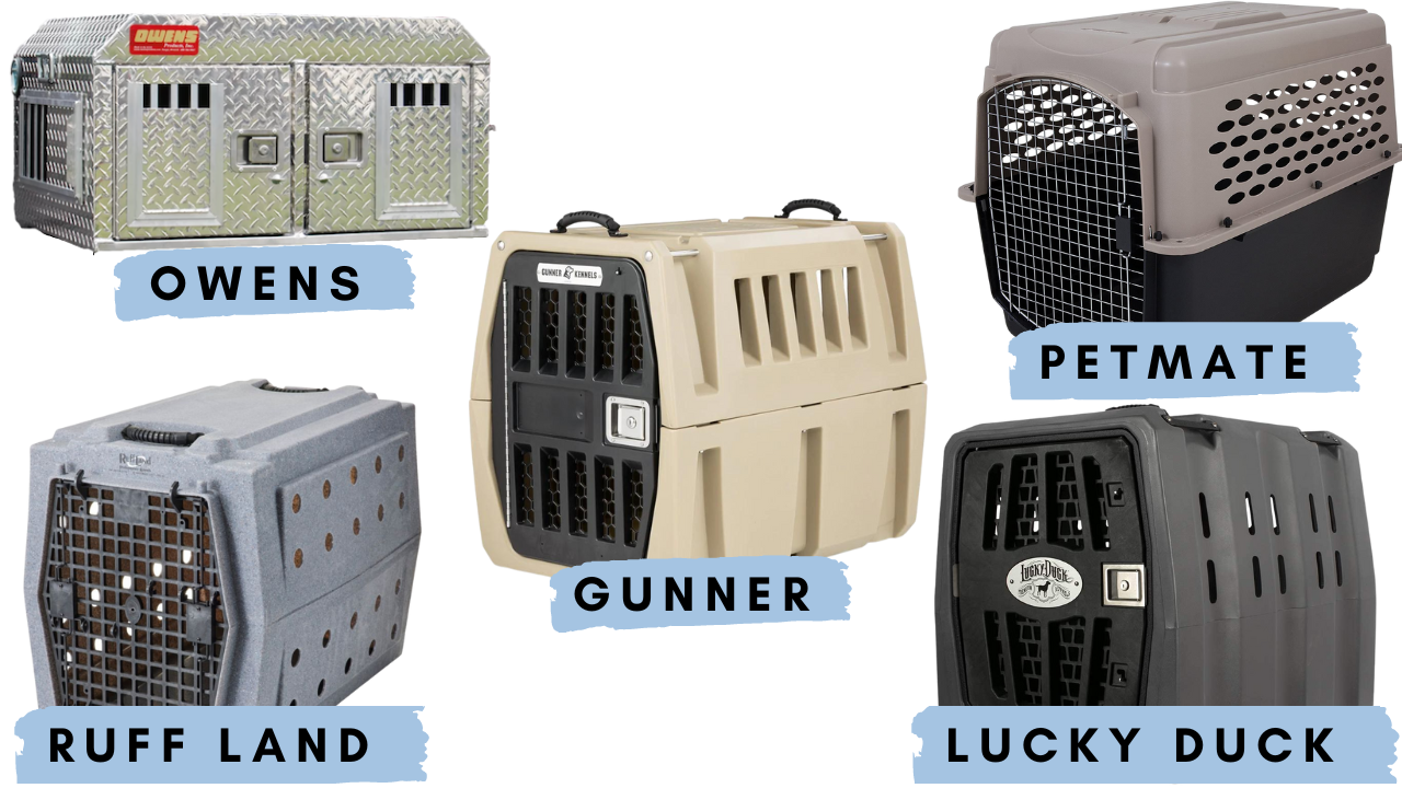 Best Hunting Dog Kennels and Crates