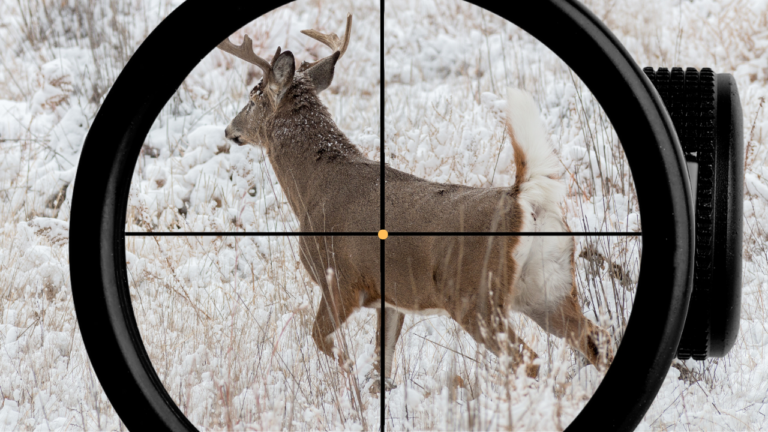 Optics and Sights For Tracking Bucks on Snow (Field-Tested)
