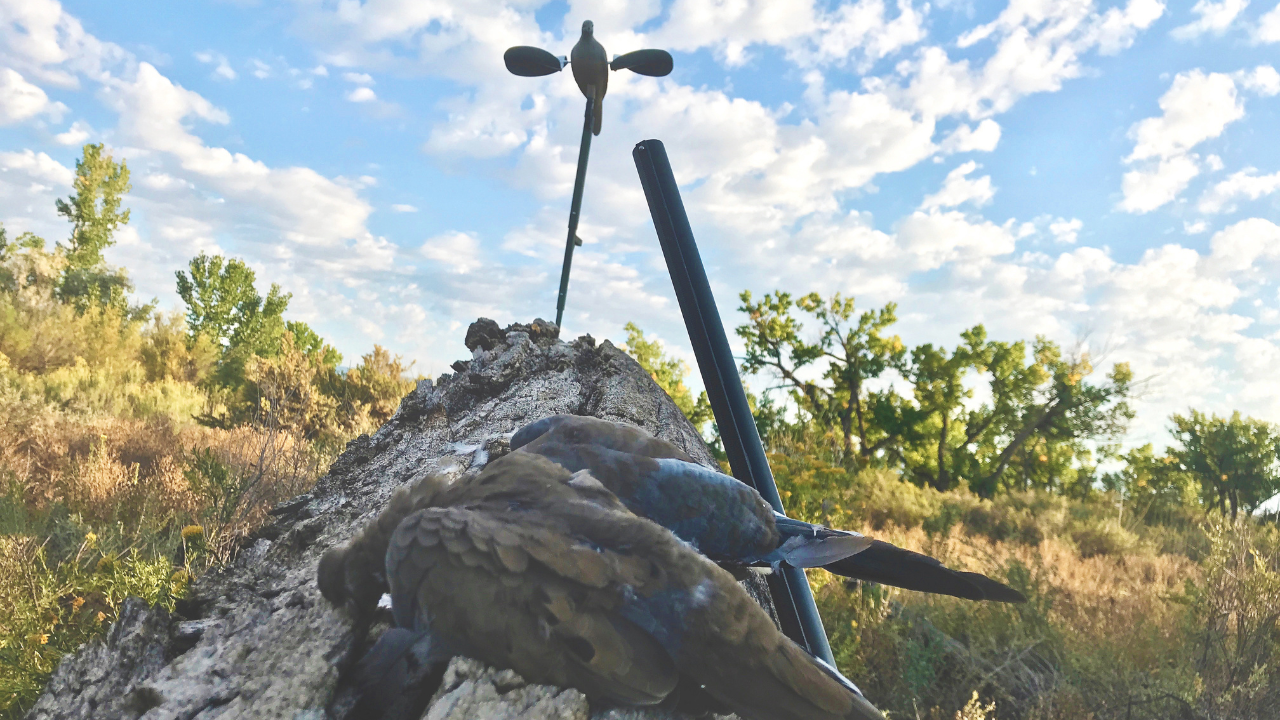 Best Shotgun Choke For Dove Hunting