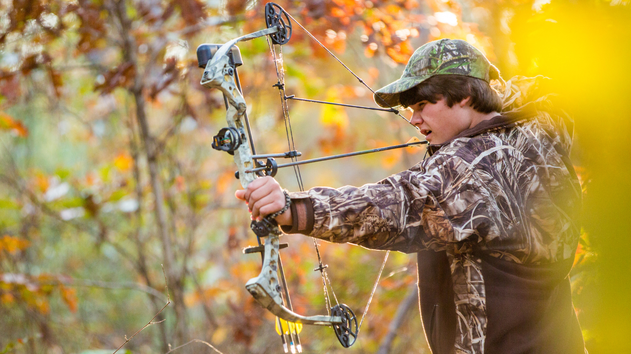 Best Compound Bows For Beginners