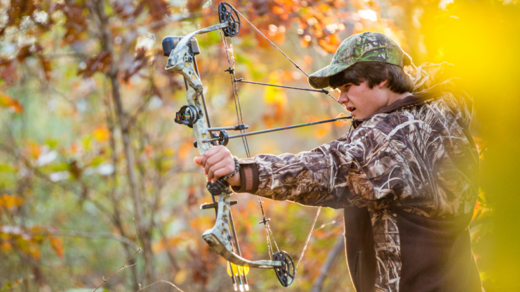 10 Best Beginner Compound Bows For Hunting [2024] (Budget...