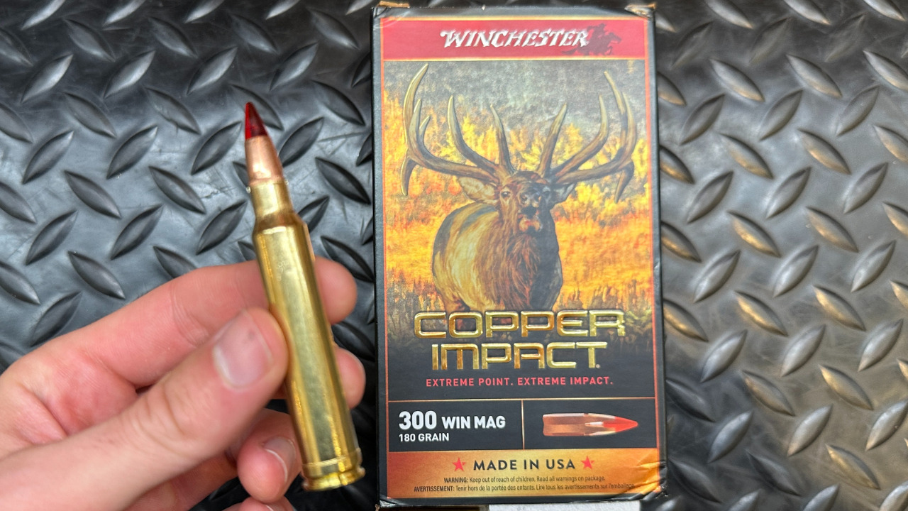 Best Calibers and Cartridges For Elk Hunting