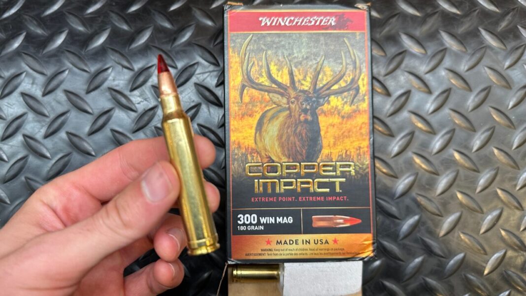 Winmag 300 Win Mag vs 13 Popular Cartridges (Ballistic Tables & Graphs)