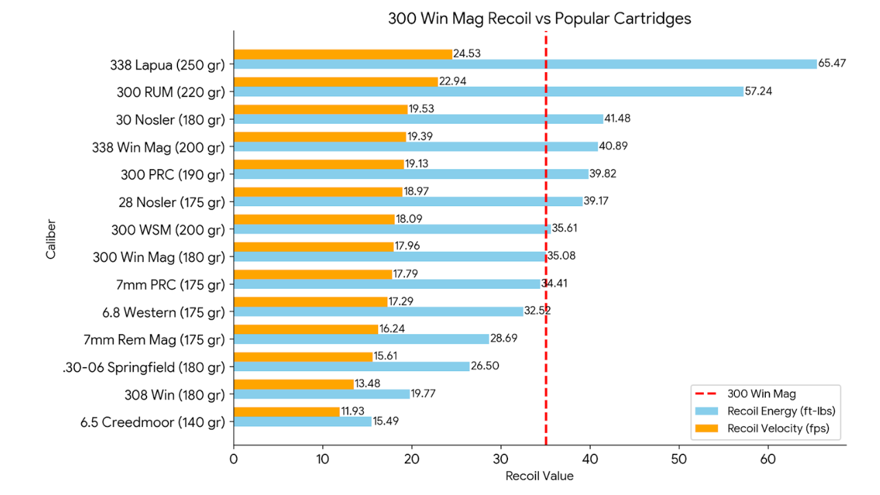 300 Win Mag vs 13 Popular Cartridges Feature Image