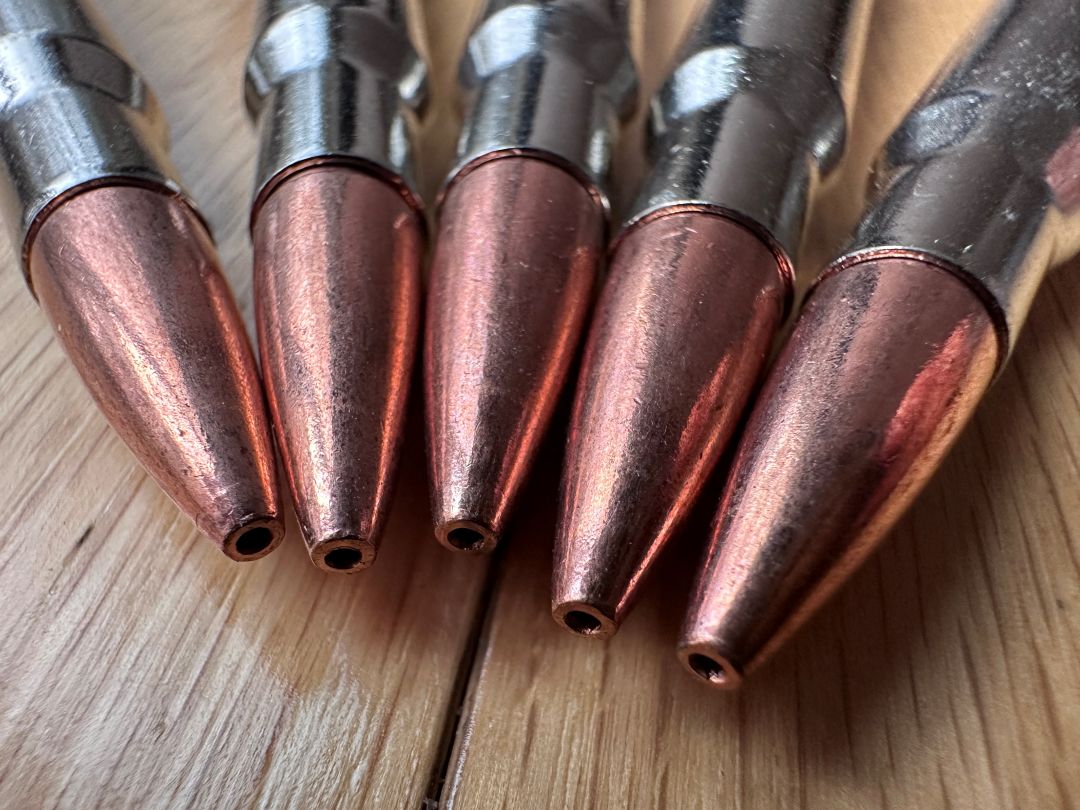 Barnes TSX Hollow Point Tip
