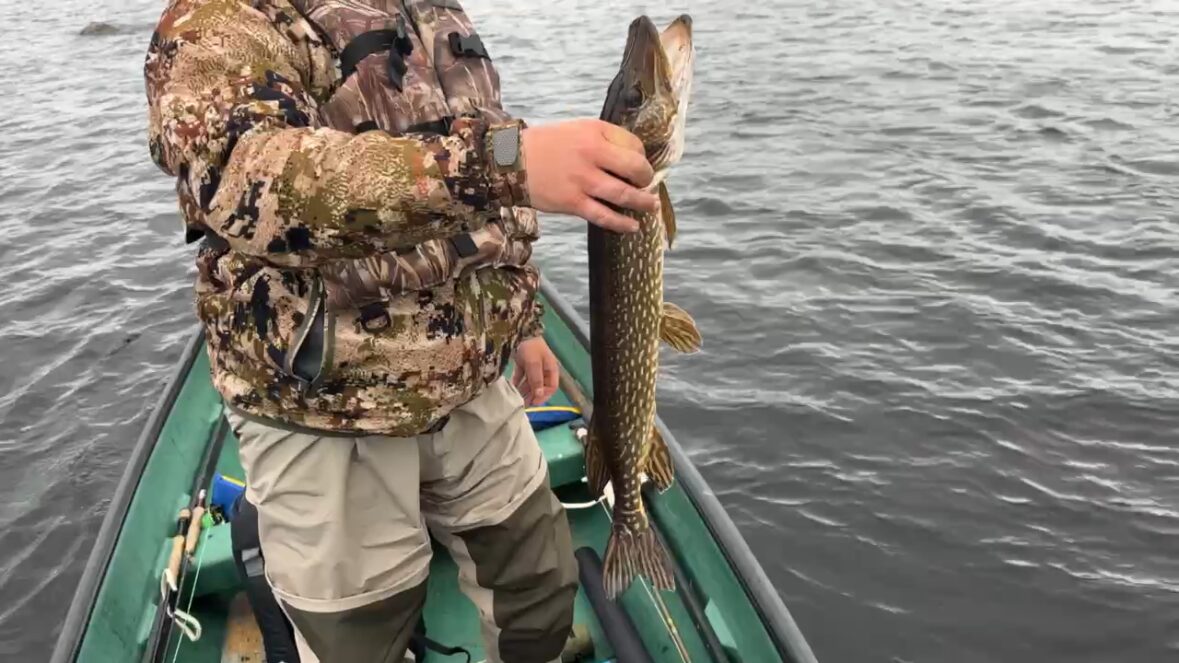 Eagle River Northern Pike