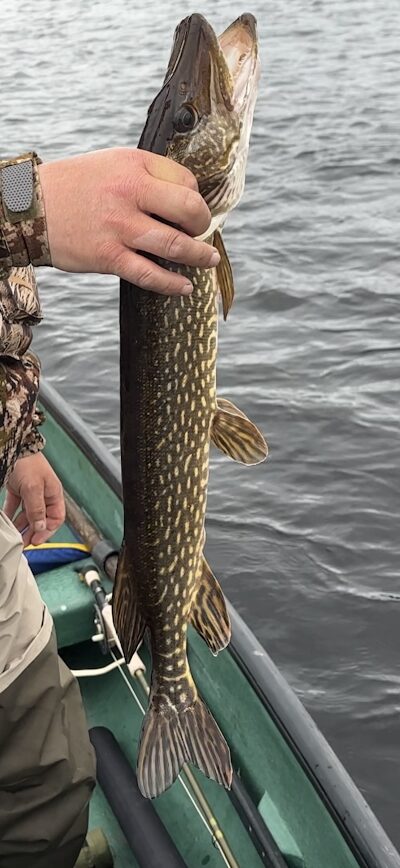 Eagle River Northern Pike