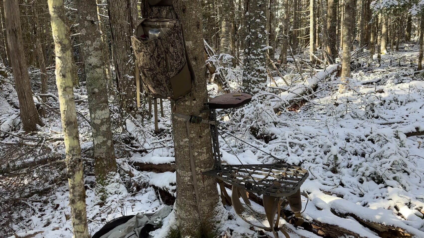 Setting my Lone Wolf Custom Gear .75 Treestand 2-3 Feet off The Ground